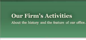 Our Firm's Activities